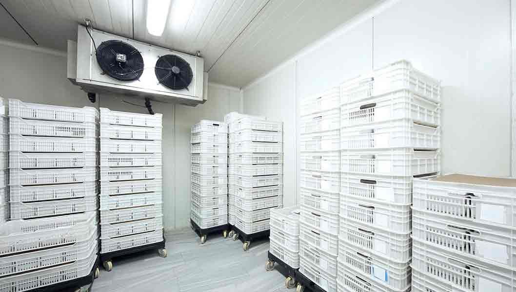 cold storage rental in abu dhabi